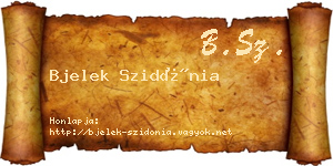 Bjelek Szidónia névjegykártya